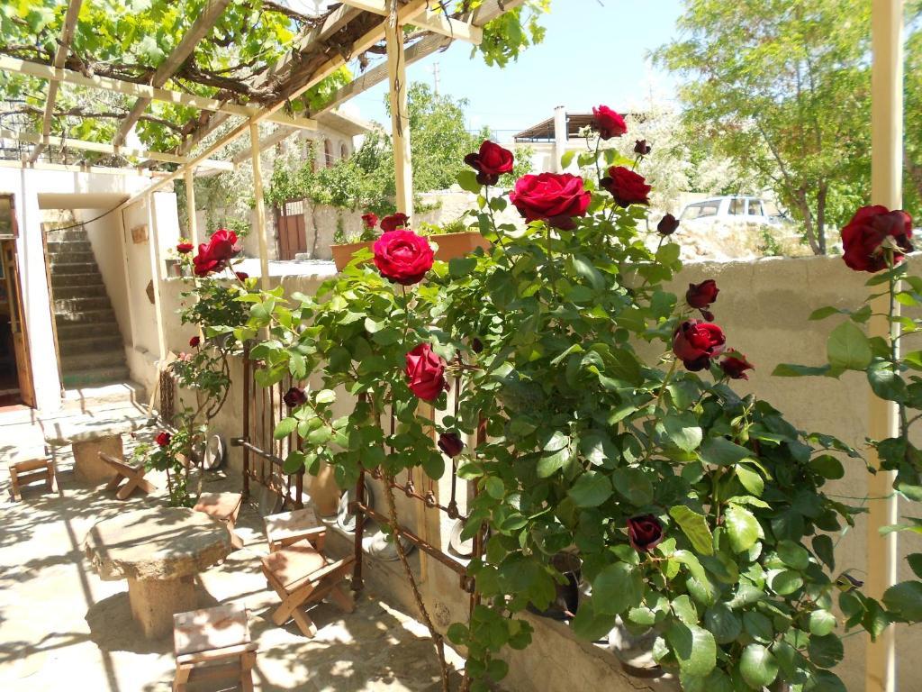 Valleypark Hotel Nevşehir Exterior foto